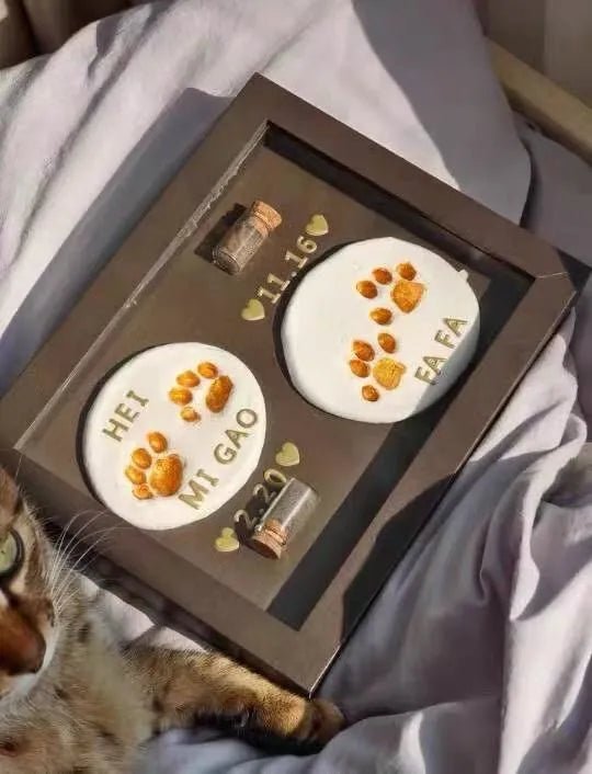 DIY Pet Paw Print Photo Frame Kit - Mess - Free Ink Pad Memorial Keepsake for Dogs & CatsFurEver Memory