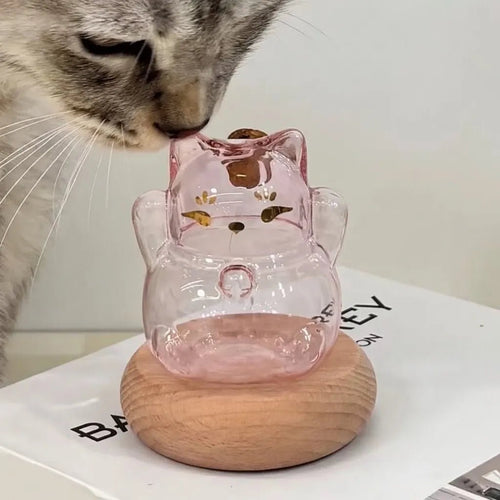 Cat Fur Keepsake Display | Cherish Your Feline Friend’s Soft Fur ForeverFurEver Memory