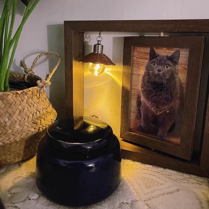 🐾 Custom Pet Fur & Photo Keepsake Frame with Collection Bottle – Hold Their Love in Your Hands 💖🥹FurEver Memory